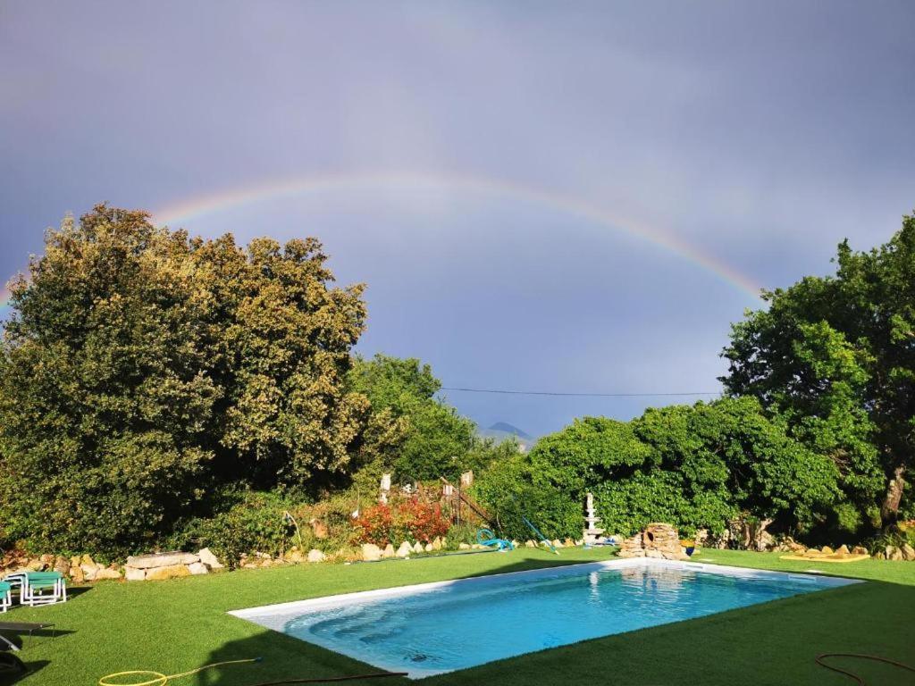 Chambre Le Mas D'Adelice Taulignan Dış mekan fotoğraf